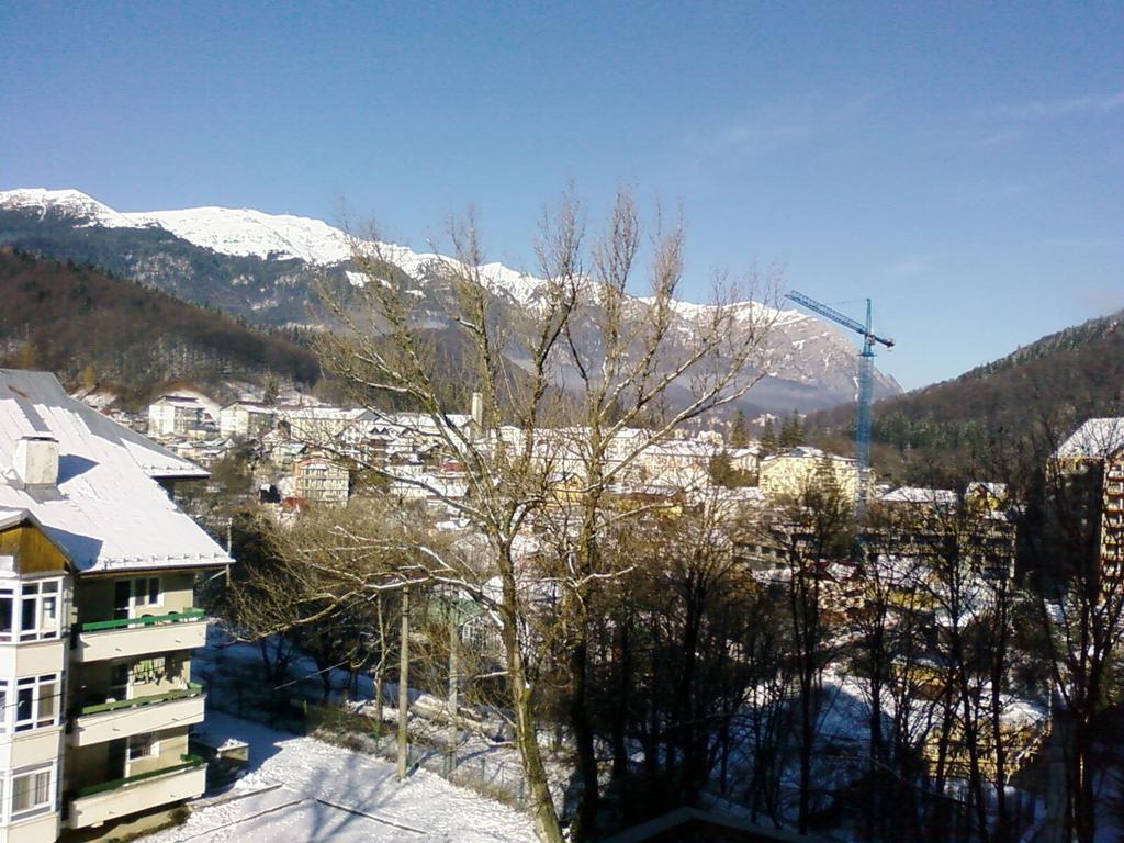 Mountain View Nest Apartment Sinaia Bagian luar foto
